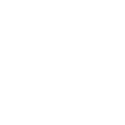 Directors/Senior Hires