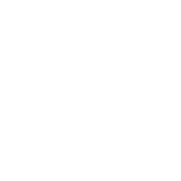 Team Leaders/Managers